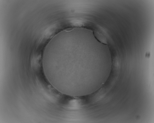 X0000114210364200910091329