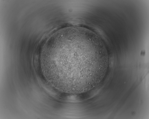 X0000114210365200910091329