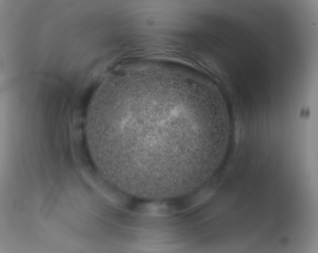 X0000114210366200910091329