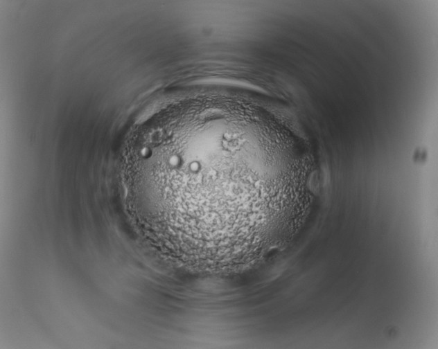X0000114210367200910091329