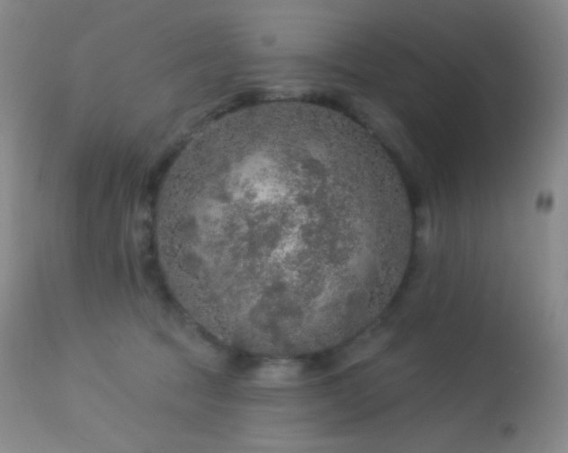 X0000114210369200910091329