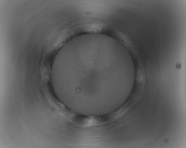 X0000114210370200910091329