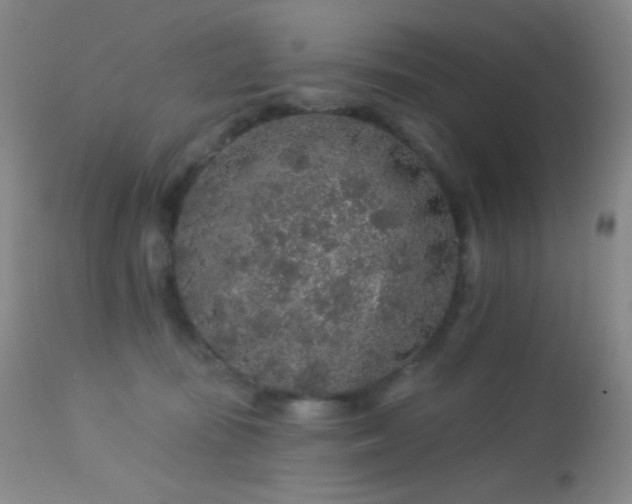 X0000114210371200910091329