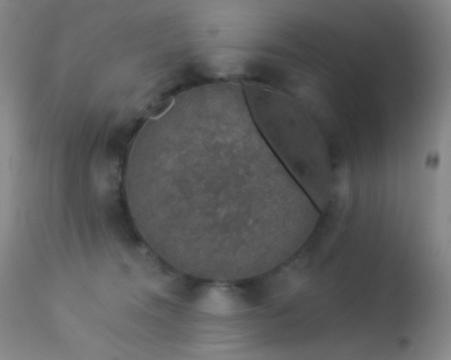 X0000114210372200910091329