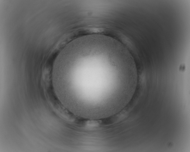X0000114210373200910091329