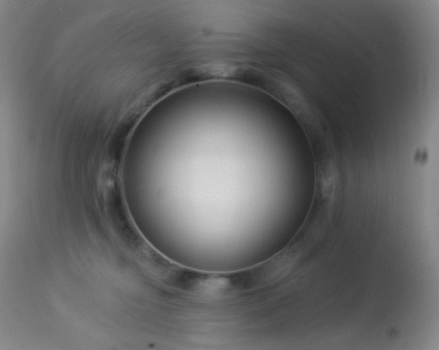 X0000114210374200910091329