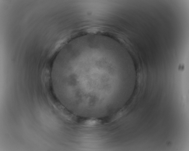 X0000114210375200910091329