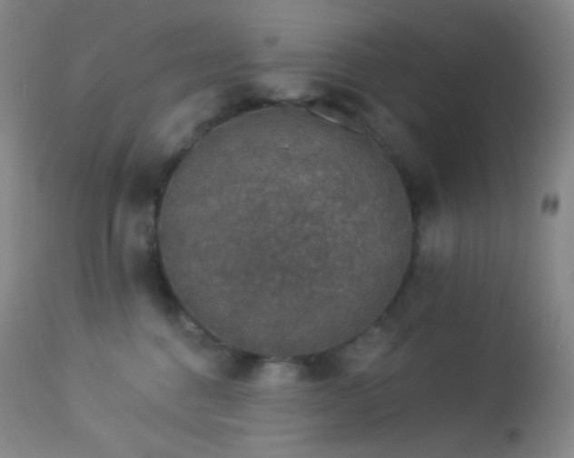 X0000114210376200910091329