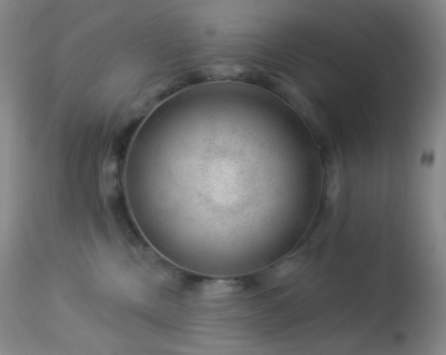 X0000114210378200910091329