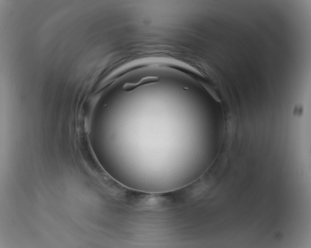 X0000114210379200910091329