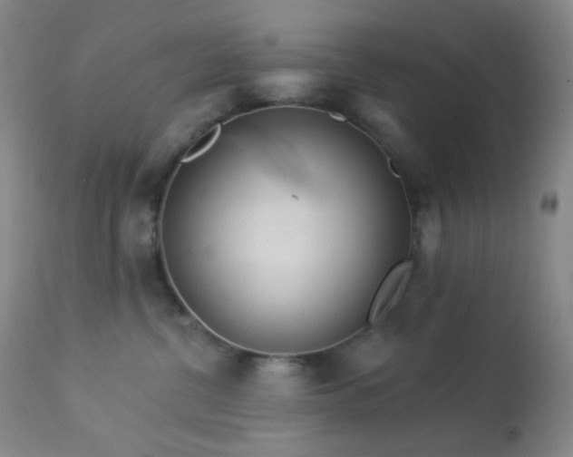 X0000114210380200910091329