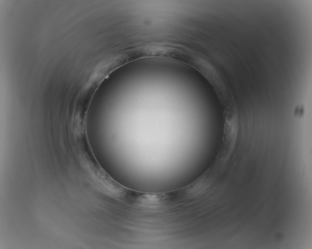 X0000114210381200910091329