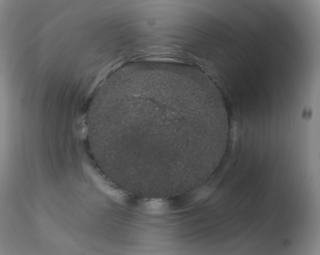 X0000114210383200910091329