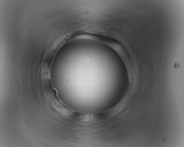 X0000114210384200910091329