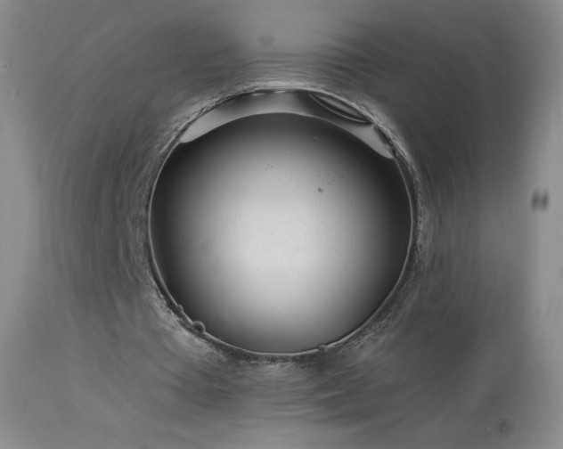 X0000114210385200910091329