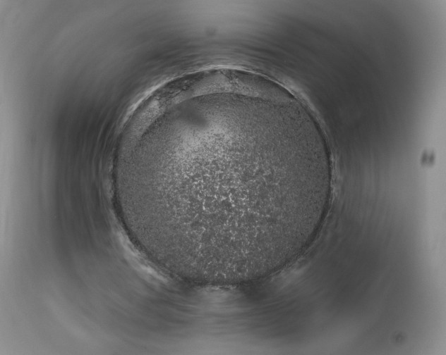 X0000114210386200910091329