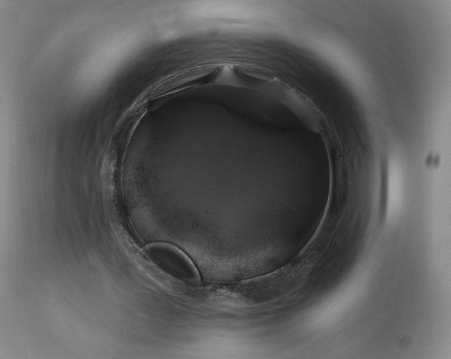 X0000114210387200910091329