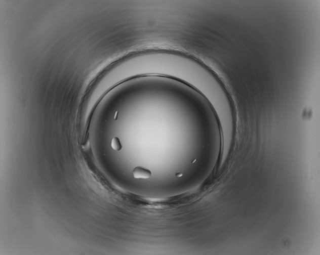 X0000114210391200910091329