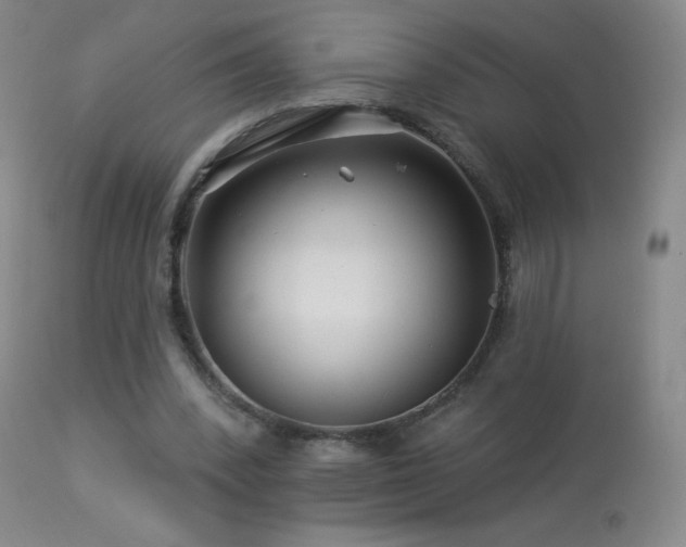 X0000114210392200910091329