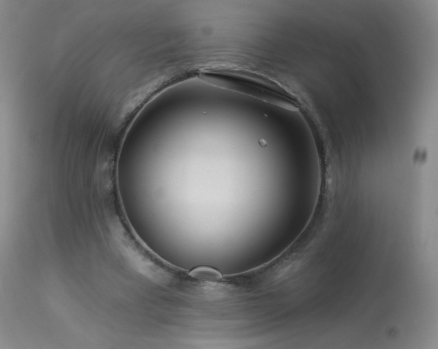 X0000114210393200910091329