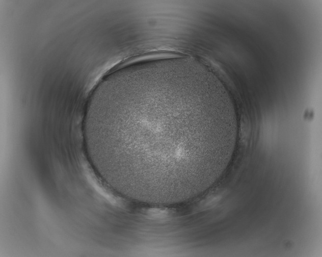 X0000114210394200910091329