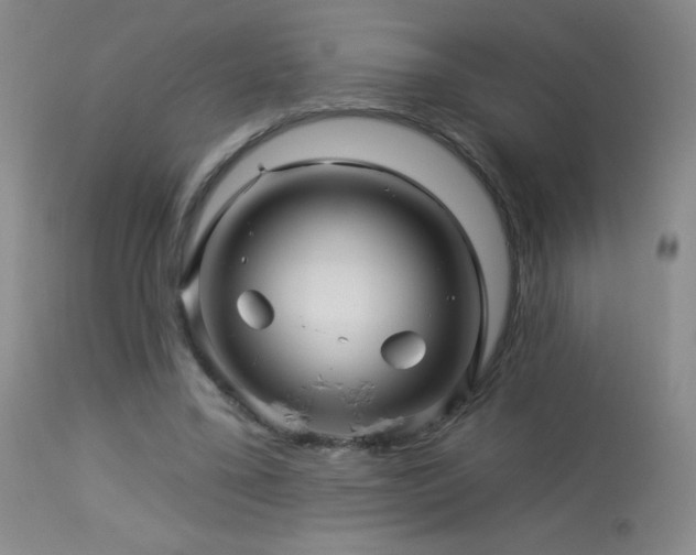 X0000114210395200910091329