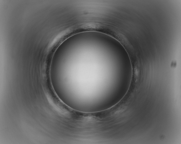 X0000114210396200910091329