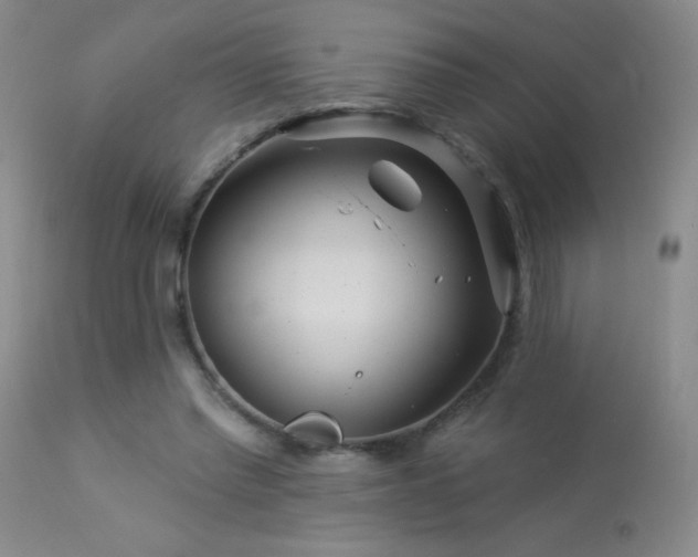 X0000114210397200910091329