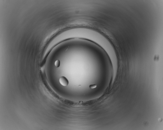 X0000114210399200910091329