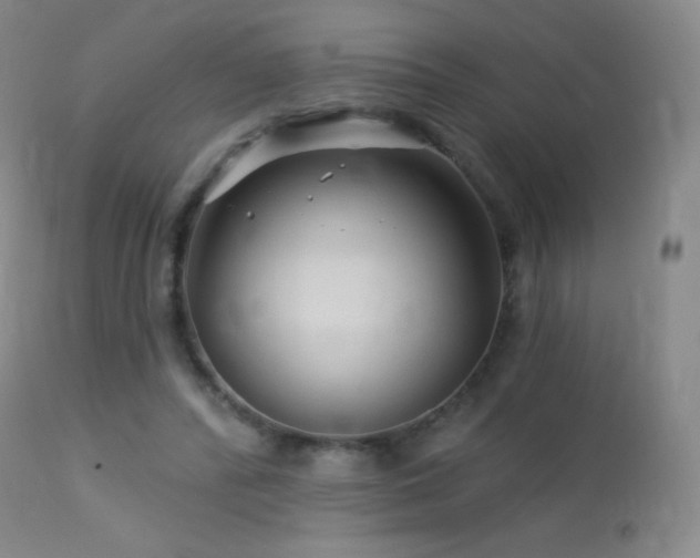 X0000114210400200910091329