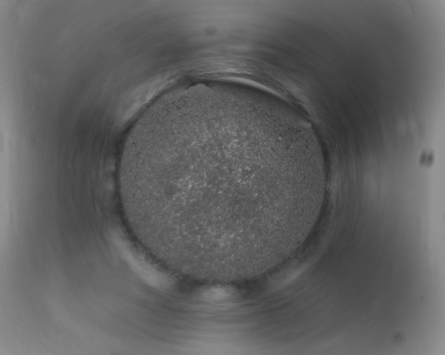 X0000114210402200910091329