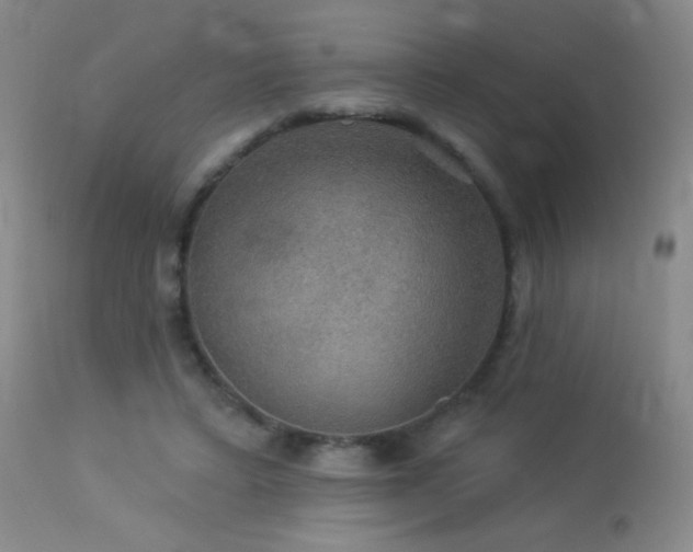 X0000114210403200910091329