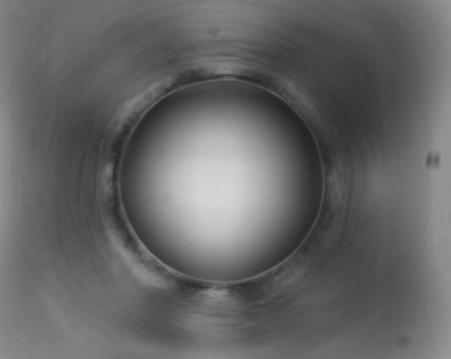 X0000114210406200910091328