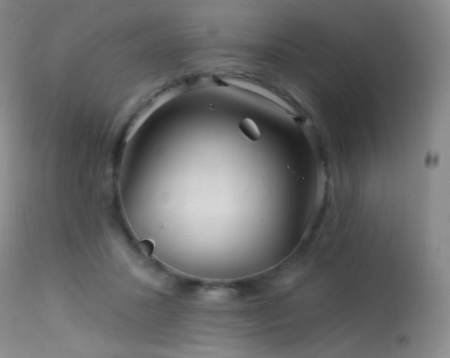 X0000114210407200910091328