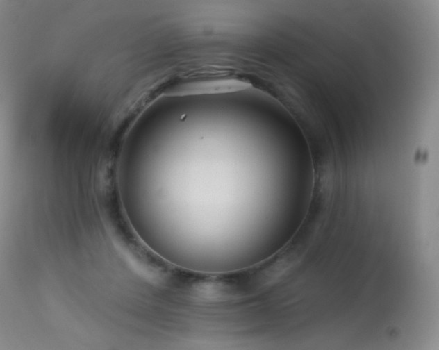 X0000114210408200910091328