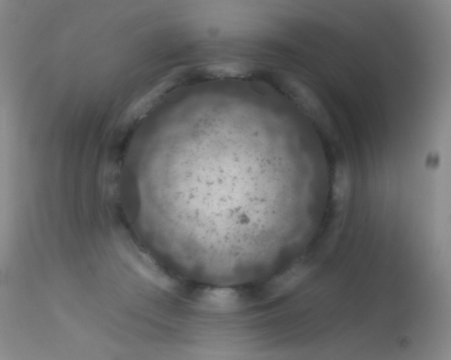 X0000114210409200910091328