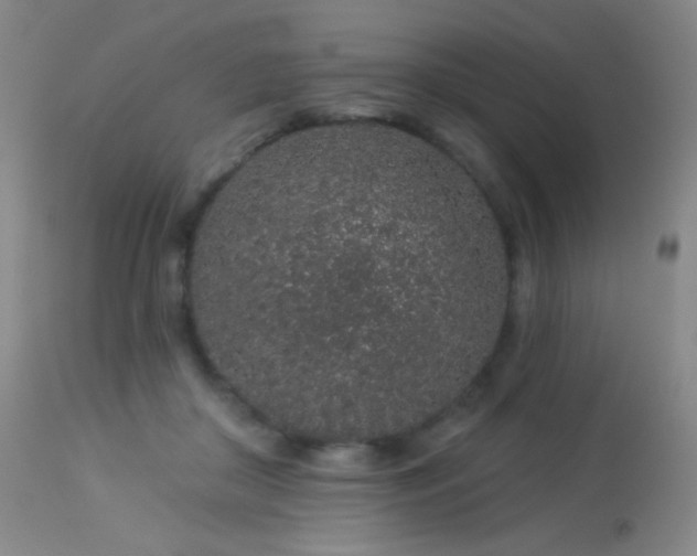 X0000114210410200910091328