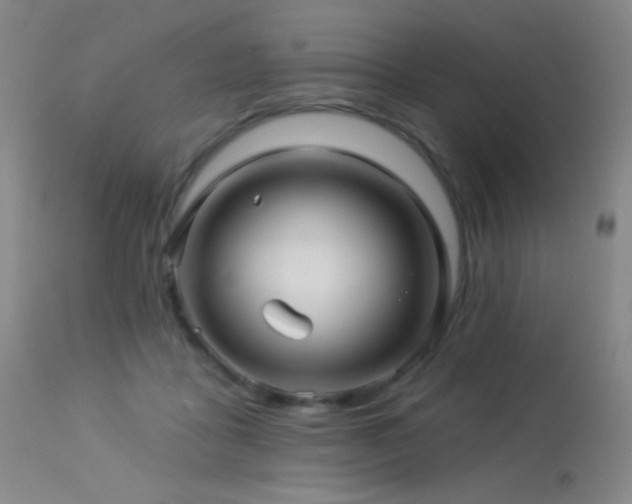 X0000114210411200910091328