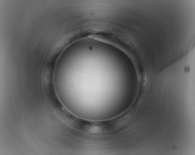 X0000114210412200910091328