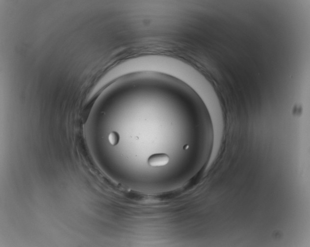X0000114210413200910091328