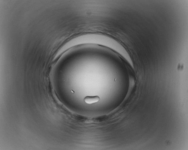 X0000114210415200910091328