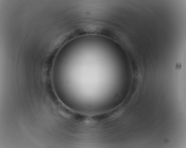 X0000114210416200910091328