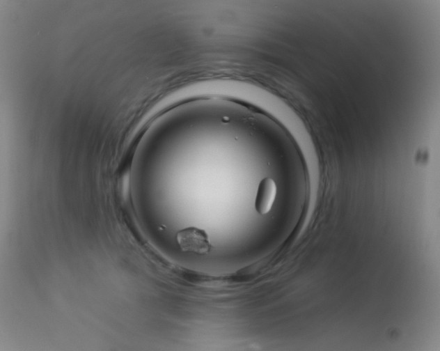X0000114210417200910091328