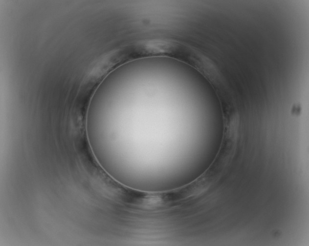 X0000114210418200910091328