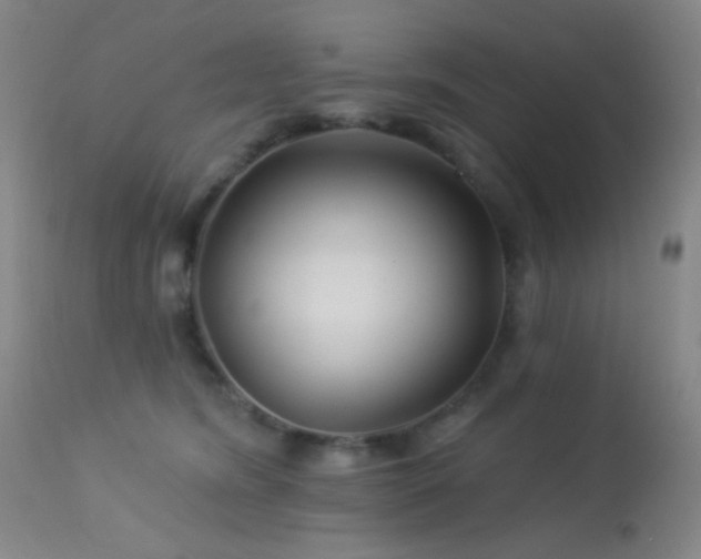 X0000114210420200910091328