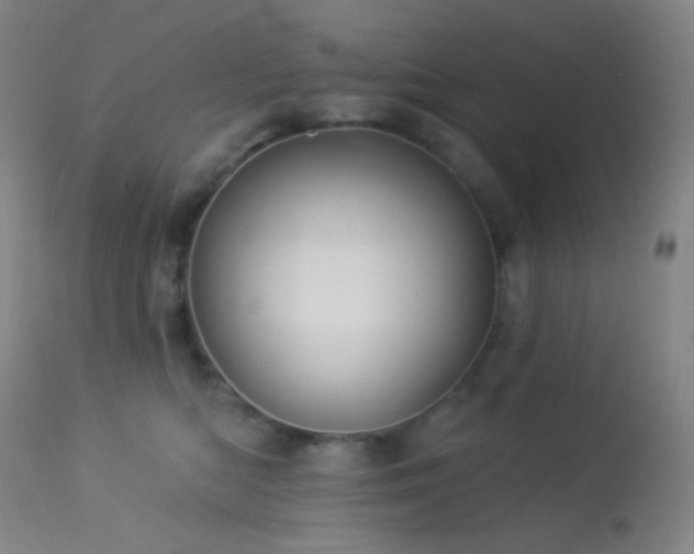 X0000114210422200910091328