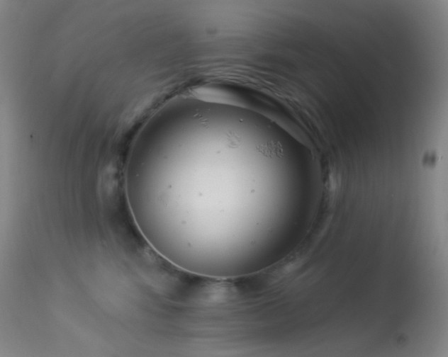 X0000114210424200910091328