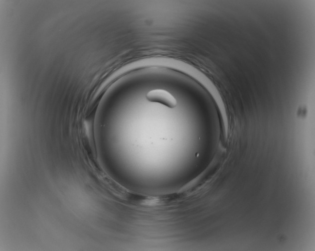 X0000114210425200910091328