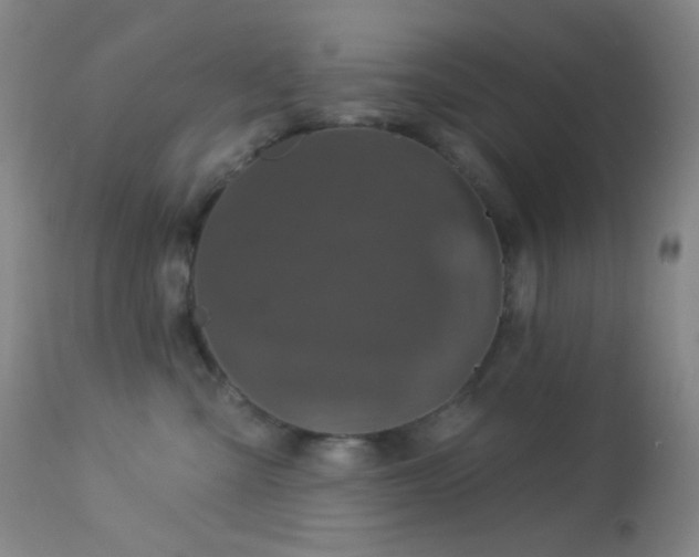 X0000114210427200910091328