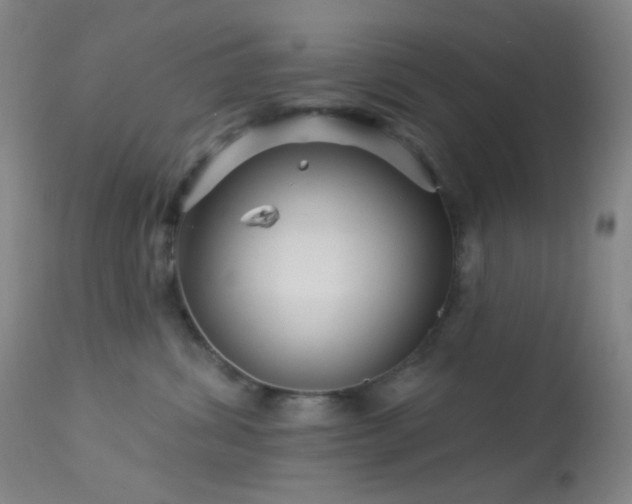 X0000114210428200910091328